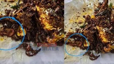 മീന് ഫ്രൈയില് ചത്ത അട്ട'; കന്റോണ്മെന്റ് പൊലീസ് കാന്റീന് കോര്പ്പറേഷന് പൂട്ടിച്ചു 3
