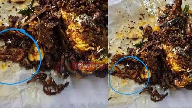 മീന് ഫ്രൈയില് ചത്ത അട്ട'; കന്റോണ്മെന്റ് പൊലീസ് കാന്റീന് കോര്പ്പറേഷന് പൂട്ടിച്ചു 1