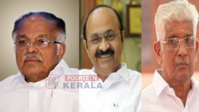 മുഖ്യമന്ത്രി- എന്എസ്എസ് തര്ക്കം; മധ്യസ്ഥ ശ്രമവുമായി പി ജെ കുര്യന്; ജി സുകുമാരന് നായരുമായി ആശയവിനിമയം നടത്തും 3