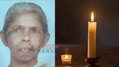 അപ്രഖ്യാപിത കറണ്ട്കട്ട് മറ്റൊരു ജീവൻകൂടി എടുത്തു; മെഴുകുതിരിയിൽ നിന്ന് പൊള്ളലേറ്റ വയോധികയ്ക്ക് ദാരുണാന്ത്യം 3