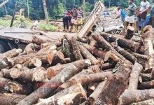 കട്ടിപ്പാറയിലെ കേളൻ മൂലയിൽ തടിലോറി മറിഞ്ഞ് ഡ്രൈവർക്ക് പരിക്ക് 7