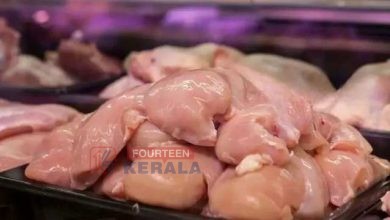 പൊതുവിപണിക്ക് പിന്നാലെ കെപ്കോയും കോഴിവില കൂട്ടി; കിലോയ്ക്ക് 31 രൂപ വരെ വർധന 3