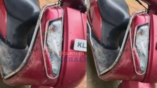ആന കാട്ടിലേക്ക് കയറിപ്പോയതുകൊണ്ട് മാത്രം ജീവൻ തിരിച്ചുകിട്ടി'; വയനാട്ടിൽ കാട്ടാന ആക്രമണം; സ്കൂട്ടർ യാത്രക്കാരി രക്ഷപ്പെട്ടത് അത്ഭുതകരമായി 1