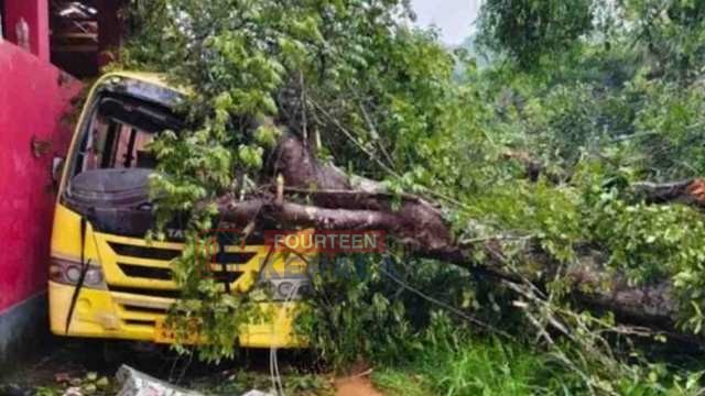 ദാരുണം…! സ്കൂള് ബസിന് മുകളിലേക്ക് മരം വീണ് അഞ്ചുവയസുകാരി മരിച്ചു, രണ്ട് കുട്ടികൾക്ക് പരിക്ക് 1