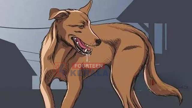 സെൻസസ് ഡ്യൂട്ടിക്ക് എത്തിയ രണ്ട് ഉദ്യോഗസ്ഥരെ വളർത്ത് നായ കടിച്ചു 1