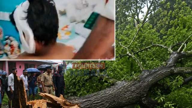 നടന്നുപോകുന്നതിനിടെ മുകളിലേക്ക് മരം വീണു; കണ്ണൂർ ചെറുപുഴയിൽ എട്ടാം ക്ലാസ് വിദ്യാർത്ഥിക്ക് പരിക്ക് 1