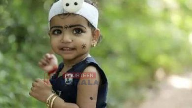 വാൻ ഉരുണ്ടുവരുന്നത് കണ്ട് എല്ലാവരും ഓടിമാറി, മൂന്നു വയസ്സുകാരിയുടെ മരണം മാതാപിതാക്കളുടെ കൺമുന്നിൽ 3