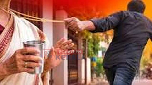 കൊല്ലത്ത് കുടിവെള്ളം ചോദിച്ചെത്തി വയോധികയുടെ മാല പൊട്ടിച്ച് കടന്ന് കള്ളൻ 1