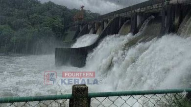 കനത്ത മഴ: പൊരിങ്ങൽക്കുത്ത് ഡാമിലെ ജലനിരപ്പ് ഉയർന്നു; ചാലക്കുടി പുഴയോരത്ത് അതീവ ജാഗ്രതാ നിർദ്ദേശം 4