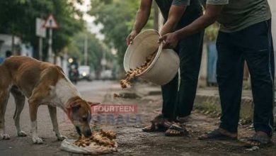 തെരുവുനായക്ക് കോഴിമാലിന്യം നൽകിയ രണ്ടുപേർക്കെതിരെ പൊലീസ് കേസെടുത്തു 3