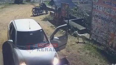 ആറ്റിങ്ങലിൽ നായയോട് ക്രൂരത; കാറിൽ കൊണ്ടിറക്കി ഉപേക്ഷിക്കാൻ ശ്രമം, പിന്നാലെ അതെവാഹനം കയറ്റി ഇടിച്ചുകൊന്നു 3