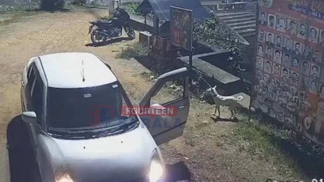ആറ്റിങ്ങലിൽ നായയോട് ക്രൂരത; കാറിൽ കൊണ്ടിറക്കി ഉപേക്ഷിക്കാൻ ശ്രമം, പിന്നാലെ അതെവാഹനം കയറ്റി ഇടിച്ചുകൊന്നു 1