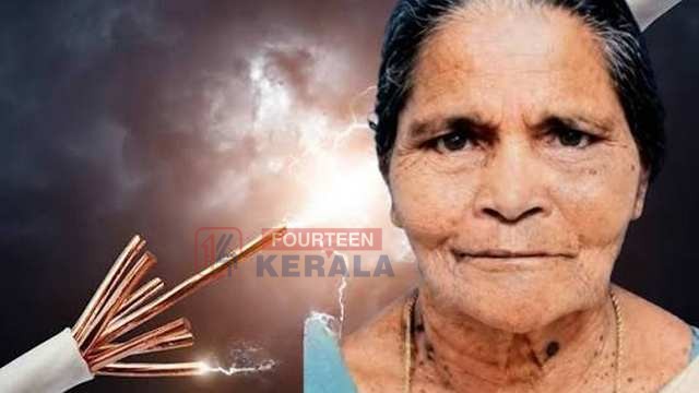 വീട്ടുവളപ്പിൽ നിന്ന് കുമ്പളങ്ങ പറിക്കുന്നതിനിടെ വൈദ്യുതാഘാതമേറ്റു; കോലഞ്ചേരിയിൽ വയോധിക മരിച്ചു 1