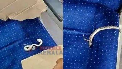 യാത്രക്കാർ ഞെട്ടി..! കൊച്ചി-ബംഗളൂരു വന്ദേഭാരതിൽ ചത്ത അണലി; വിഷ പാമ്പിനെ കണ്ടത് യാത്രക്കാരി ടോയ്ലറ്റിൽ പോയ സമയം 3