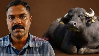 രാത്രിയുടെ മറവിൽ പാടത്തിറങ്ങി മോഷണം; പുത്തൻവേലിയിൽ ലക്ഷങ്ങൾ വിലയുള്ള പോത്തുകളെ മോഷ്ടിച്ച യുവാവ് പിടിയിൽ 3