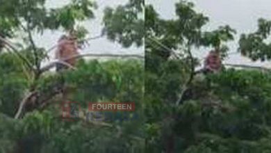 ഒഴുക്കിൽപ്പെട്ട് നദിയുടെ നടുവിൽ കുടുങ്ങി; ജീവൻ രക്ഷിക്കാൻ മരത്തിൽ കയറിയ സുരേഷ് ഭീലിന് രക്ഷകരായി നാട്ടുകാർ 3