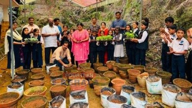 വേനപ്പാറ യുപി സ്കൂളിൽ പച്ചക്കറി കൃഷി ആരംഭിച്ചു 3