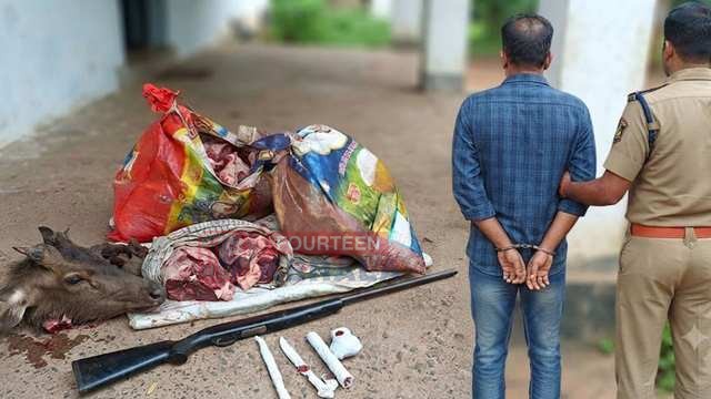 പുലർച്ചെ കാട്ടിൽ ഫോറസ്റ്റുകാരുടെ സർപ്രൈസ് എട്രി; ചാക്കിൽ മ്ലാവിറച്ചിയുമായി വന്ന വേട്ട സംഘം വീണു, രണ്ടുപേർ ഓടി രക്ഷപ്പെട്ടു 1
