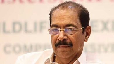 പരിസ്ഥിതി ലോല മേഖലാ കരട് വിജ്ഞാപനം: ജനവാസ മേഖലകൾ ഒഴിവാക്കണം, 'കേരളത്തിൻ്റെ ആശങ്ക കേന്ദ്രസർക്കാരിനെ അറിയിച്ചു' - മന്ത്രി സണ്ണി ജോസഫ് 3