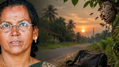 ജോലി കഴിഞ്ഞ് മടങ്ങുന്നതിനിടെ കടന്നൽക്കുത്തേറ്റ് വീട്ടമ്മയ്ക്ക് ദാരുണാന്ത്യം 3