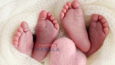വിധിയുടെ ക്രൂരത; കുഞ്ഞുങ്ങളില്ലാത്ത സങ്കടം മാറിയത് നാലു മാസം മുൻപ്; ഇരട്ടക്കുട്ടികളെ വെള്ളത്തിൽ മുക്കിക്കൊലപ്പെടുത്തി അമ്മ, പിന്നാലെ ആത്മഹത്യാശ്രമം 3