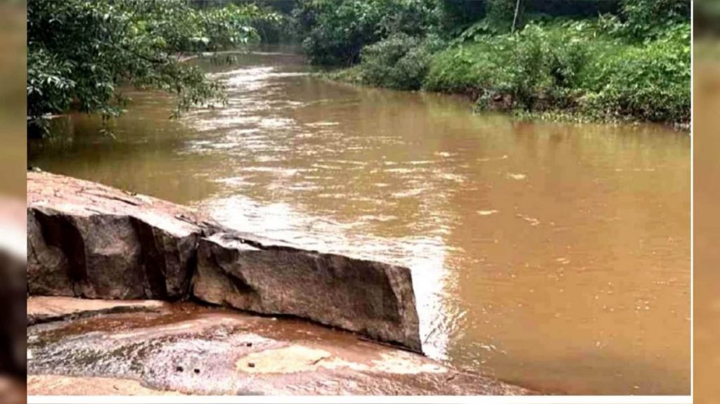 പൂനൂർ പുഴയിൽ മാലിന്യം തള്ളൽ പതിവാകുന്നു 1