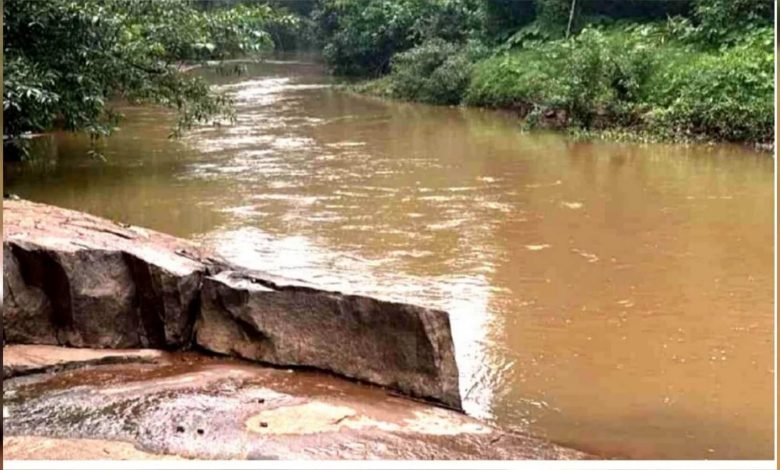 പൂനൂർ പുഴയിൽ മാലിന്യം തള്ളൽ പതിവാകുന്നു 1