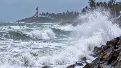 കടലമ്മ കലിപ്പിലാണ്, തിരമാലകൾ ആഞ്ഞടിച്ചേക്കും...! കടലാക്രമണ മുന്നറിയിപ്പ്: തിരുവനന്തപുരം, കന്യാകുമാരി തീരങ്ങളിൽ ജാഗ്രതാ നിർദ്ദേശം പുറപ്പെടുവിച്ചു 3