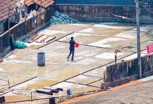 സെൻട്രൽ മാർക്കറ്റ്: പുനരധിവാസത്തിന് ജീവൻവെച്ചു 7