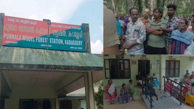 പത്തനാപുരത്ത് കാട്ടാന ആക്രമണത്തിൽ വയോധിക കൊല്ലപ്പെട്ട സംഭവം; ആനയെ ഉൾക്കാട്ടിലേക്ക് തുരത്തും, നാട്ടുകാർ പ്രതിഷേധം അവസാനിപ്പിച്ചു 1
